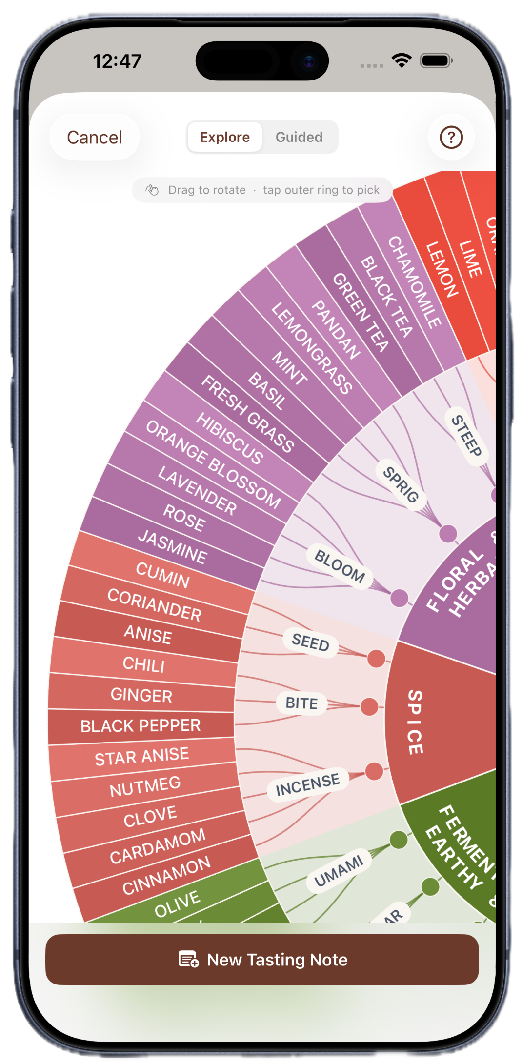 FlavorNotes flavor wheel showing a custom coffee tasting note with nested flavor tags